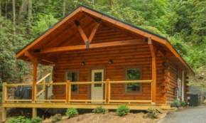 282 Cozy Cub cabin